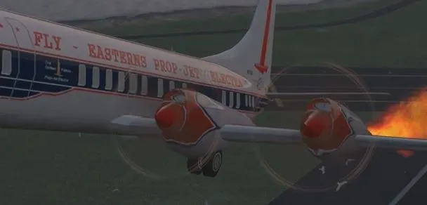 Bird strikes on Flight 375