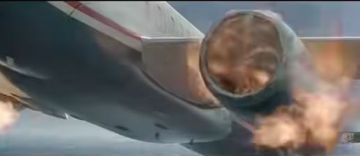 bird strike to the engines